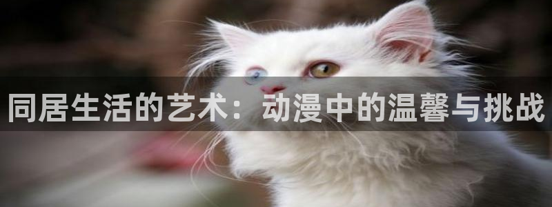 治愈动漫：同居生活的艺术：动漫中的温馨与挑战