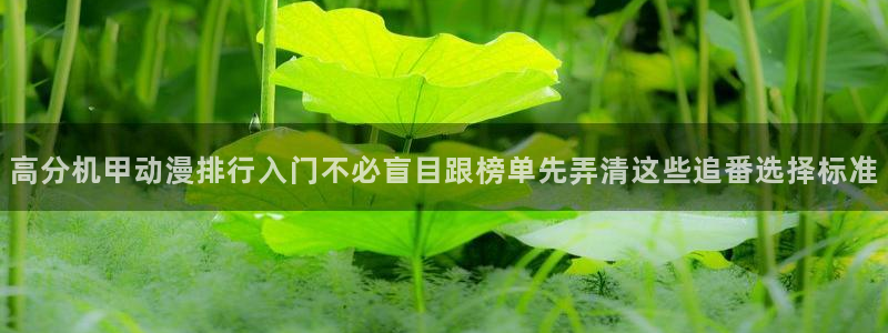 双男动漫推荐:高分机甲动漫排行入门不必盲目跟榜单先弄清这些追番选择标准