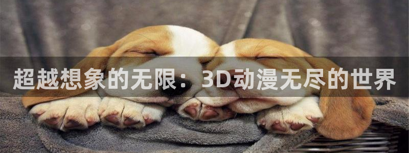 穿越动漫：超越想象的无限：3D动漫无尽的世界