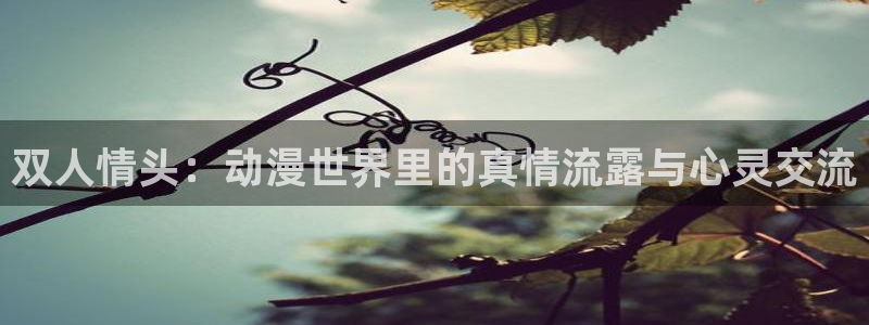 悬疑动画:双人情头:动漫世界里的真情流露与心灵交流