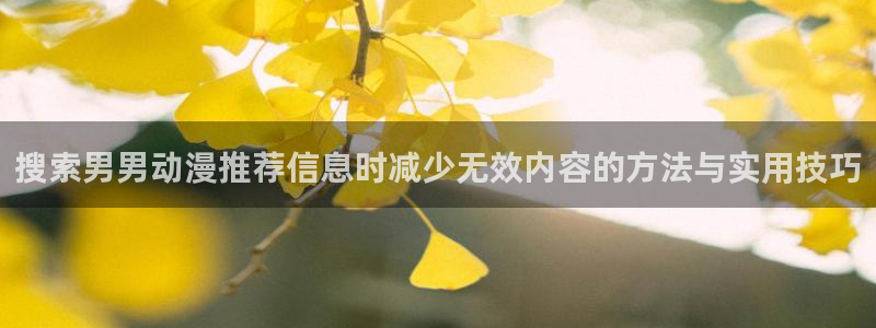 波兰球动画：搜索男男动漫推荐信息时减少无效内容的方法与实用技巧