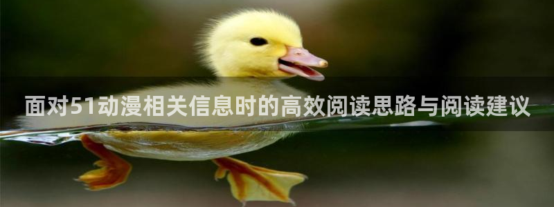动漫overflow:面对51动漫相关信息时的高效阅读思路与阅读建议