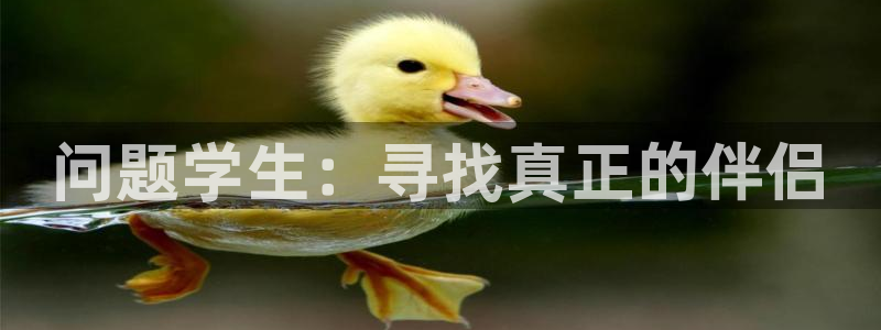 动漫推荐排名：问题学生：寻找真正的伴侣